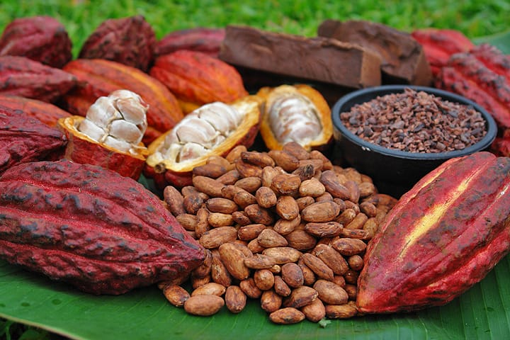 puntare al ribasso sul cacao