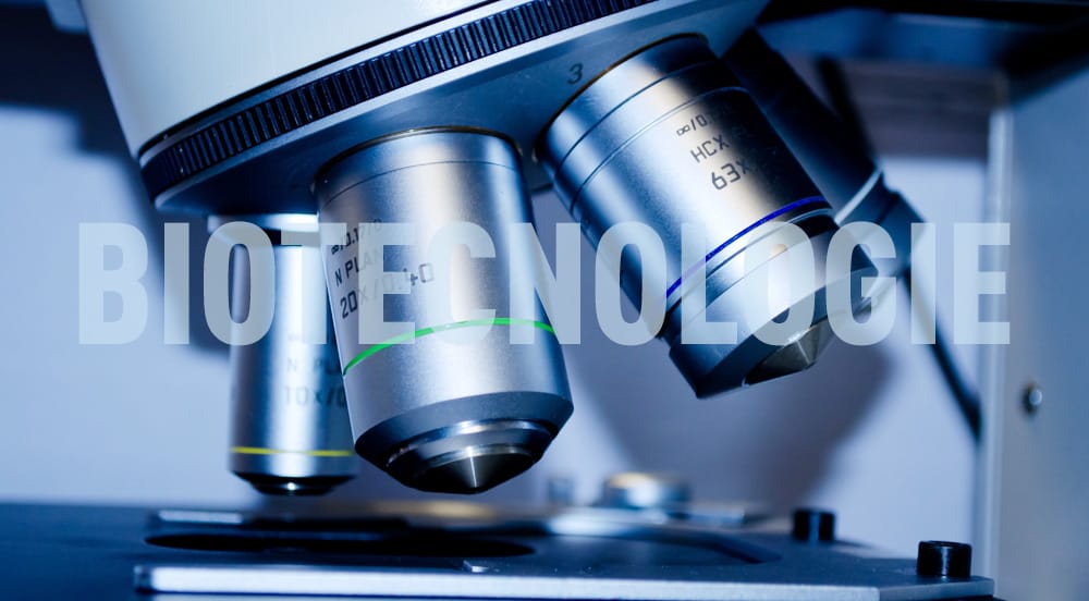 2 titoli con alto potenziale