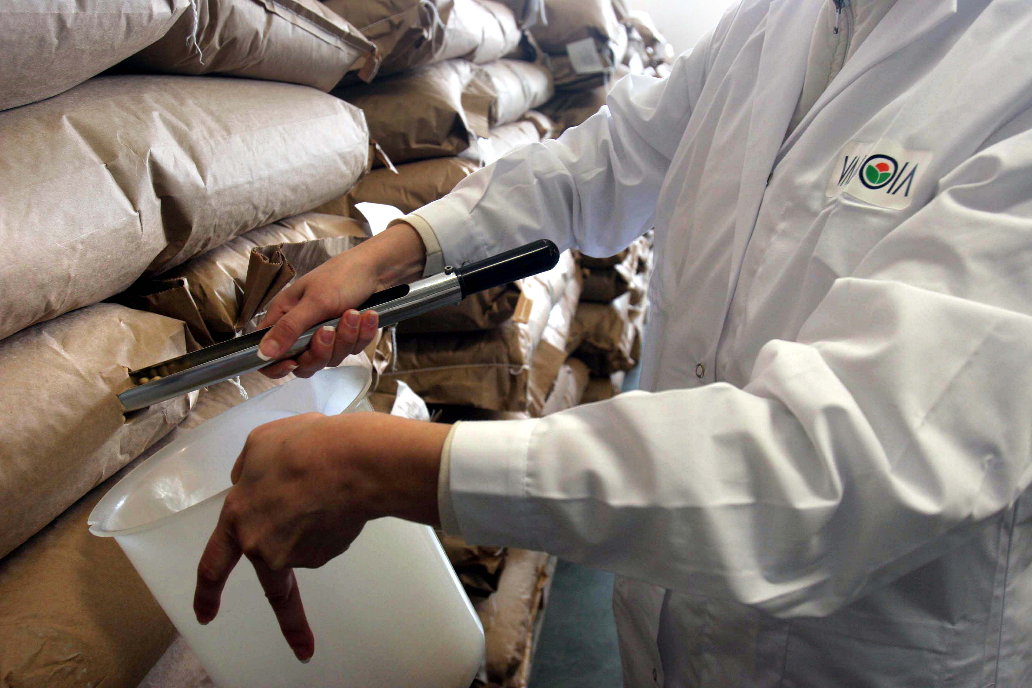 Su quale materia prima investire