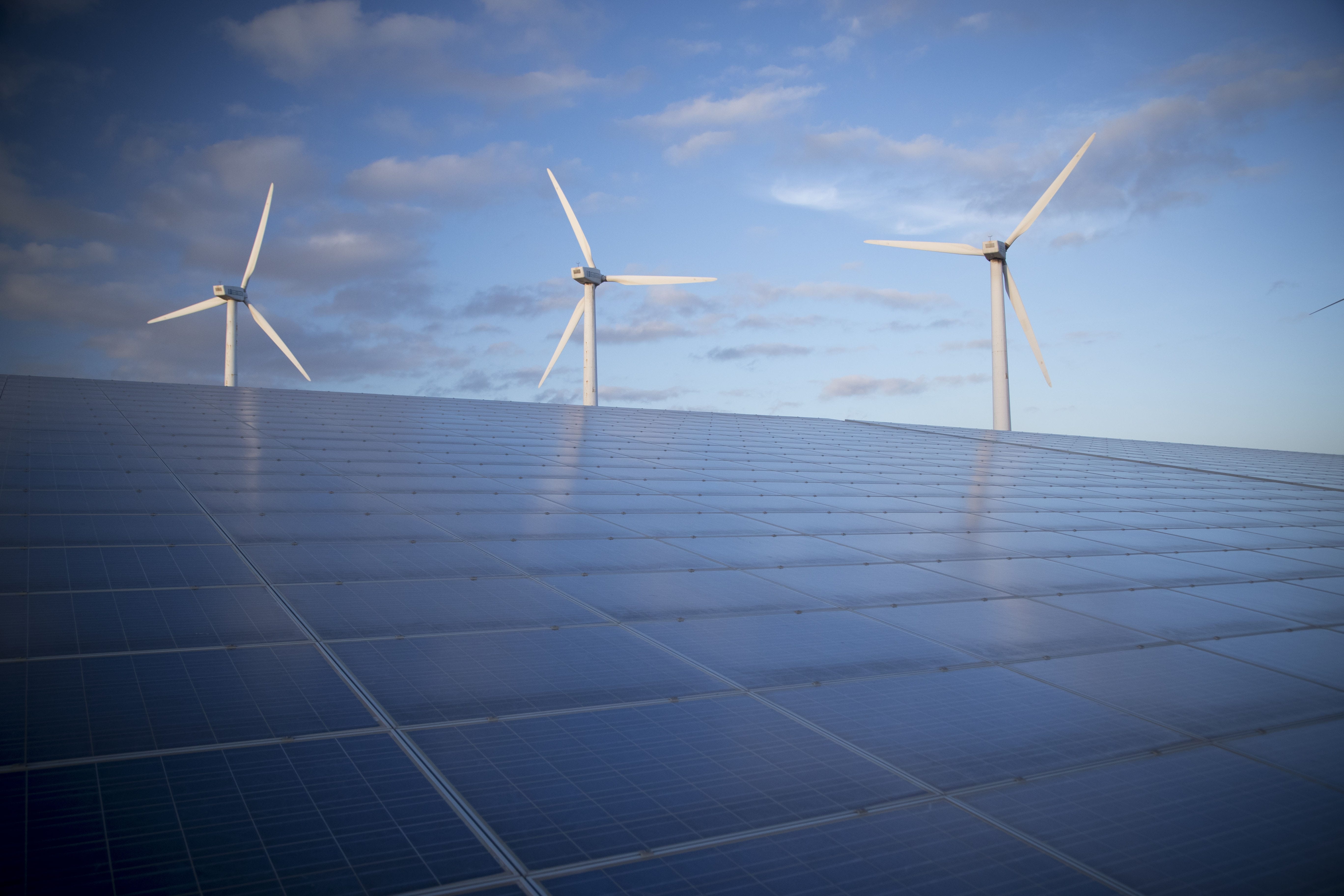 su quali azioni investire