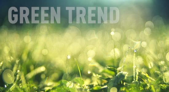 trend green e salutista