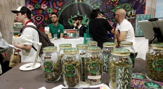 Investire nella Cannabis?