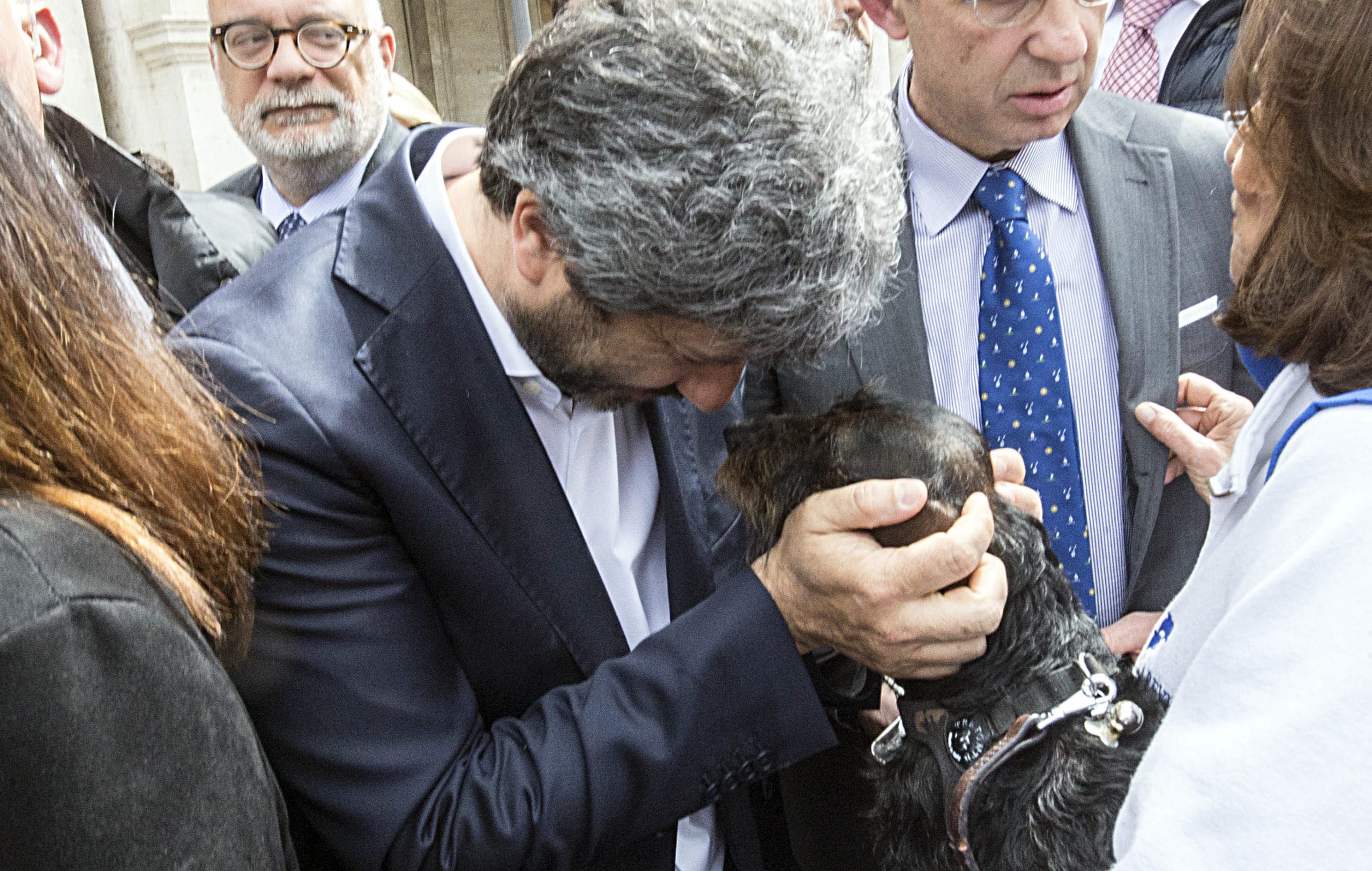 Quanto costa avere un animale in casa