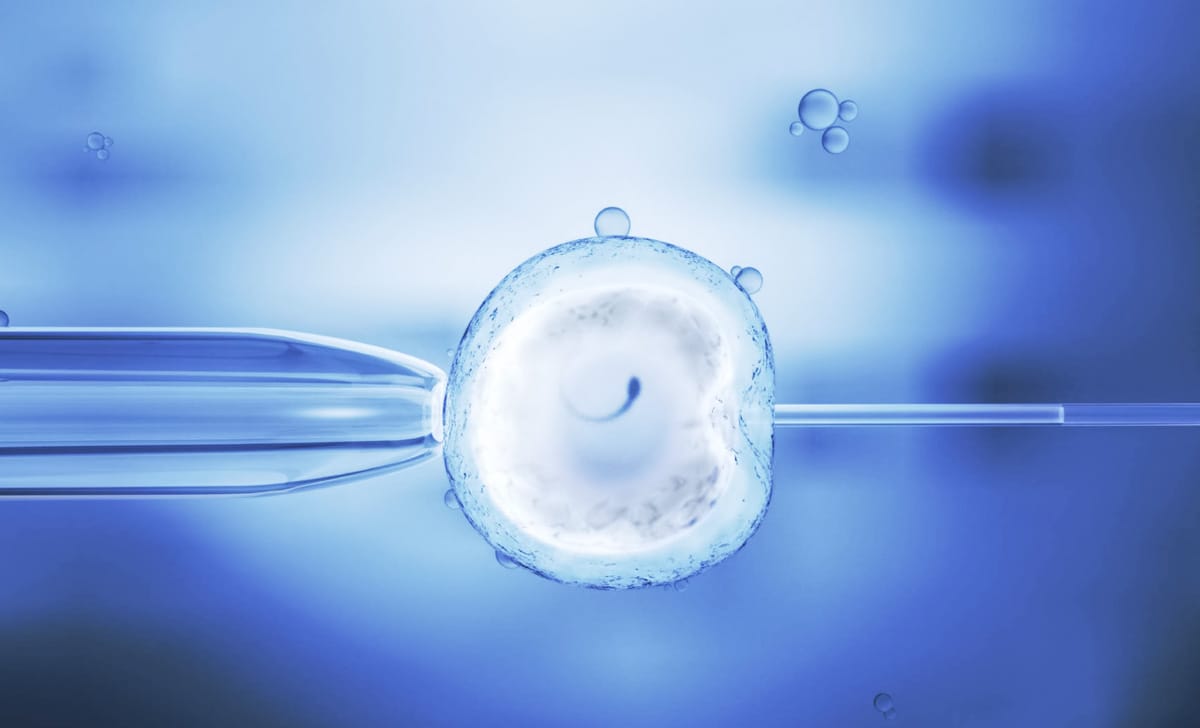 fecondazione assistita