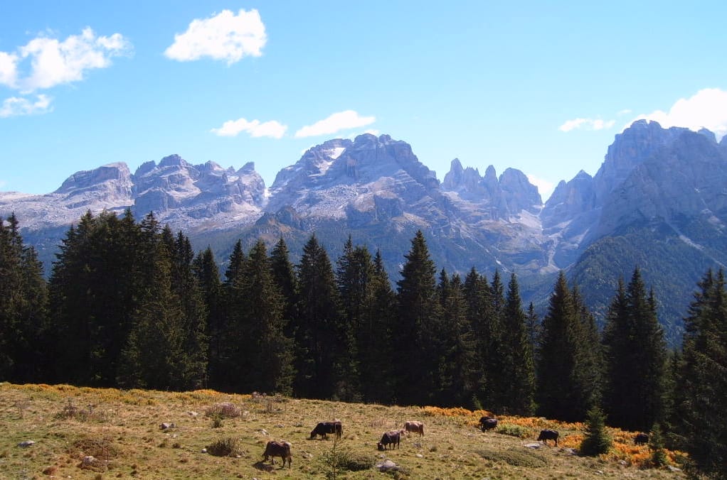 Dolomiti
