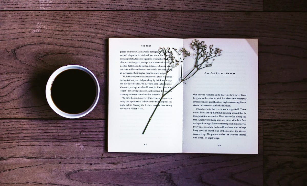 classici della letteratura