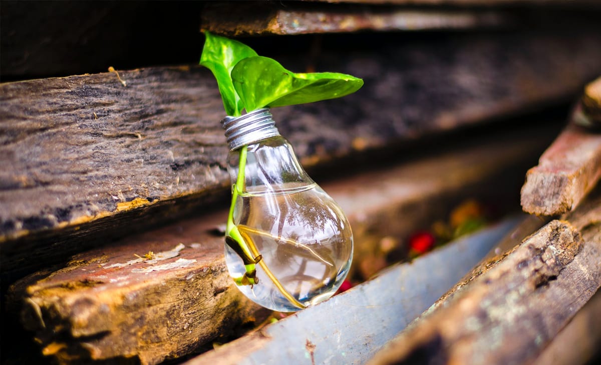 Voucher 3i innovazione