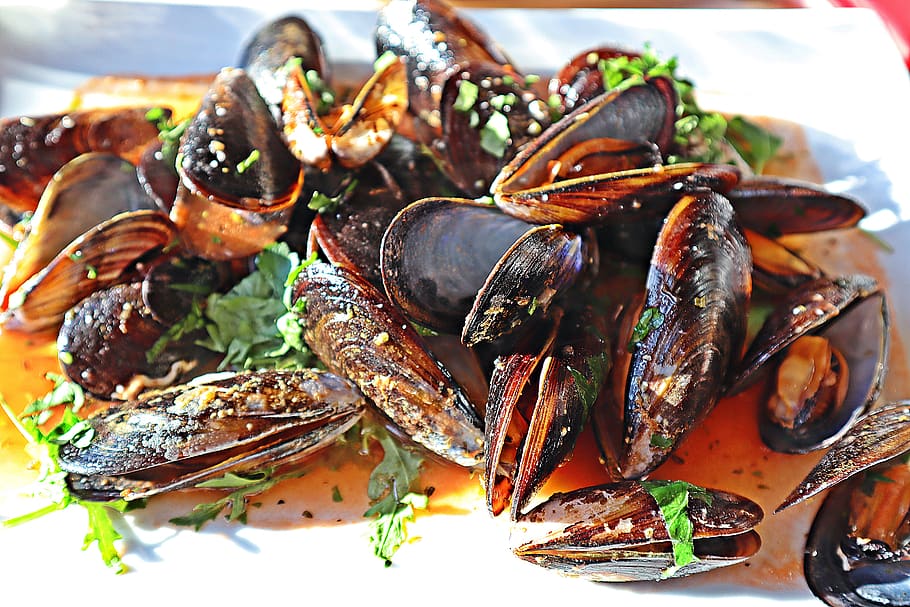 Vuoi cucinare perfettamente le cozze in maniera facile e veloce? Segui questi consigli, cucina, ricetta