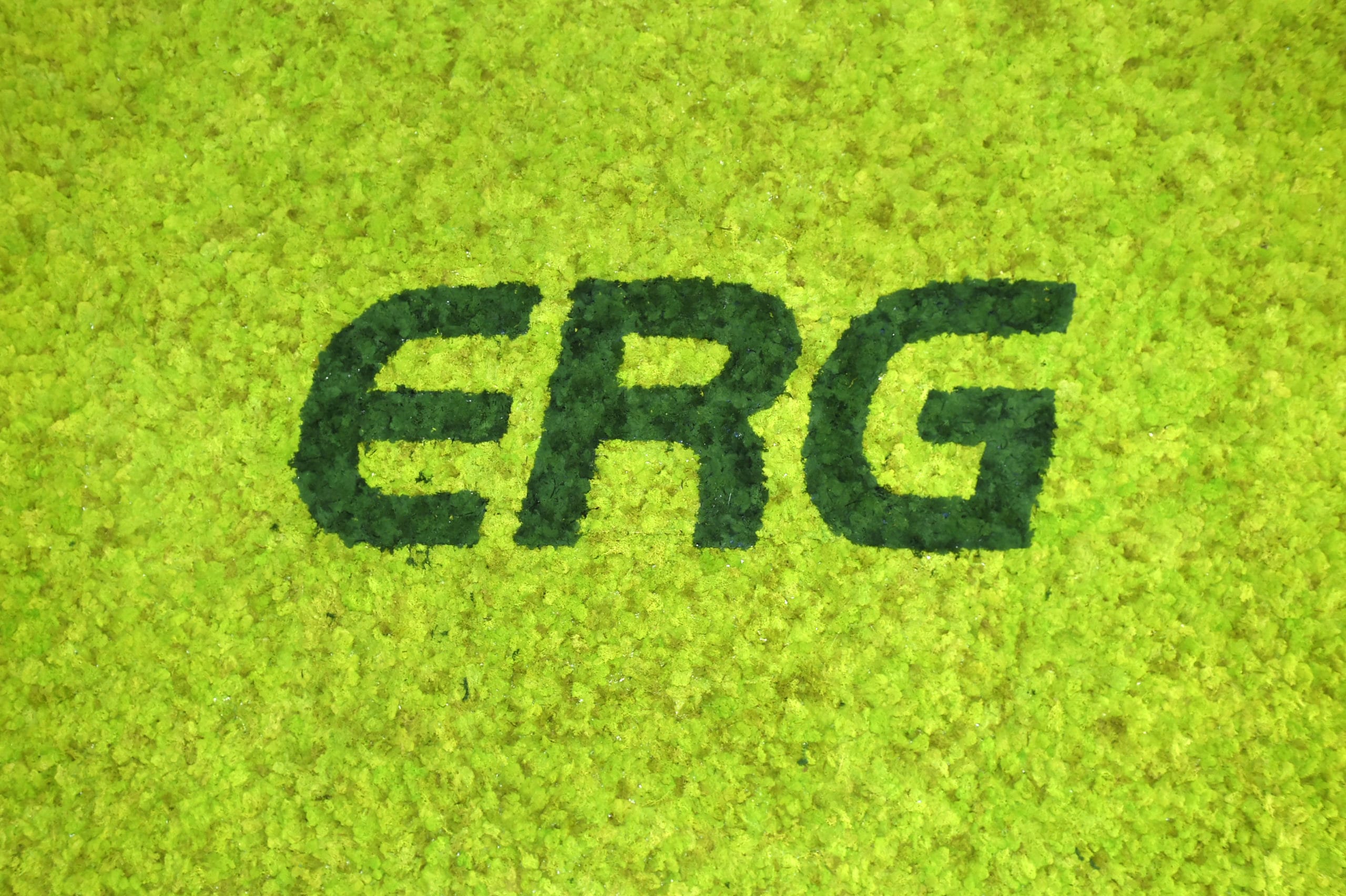 ERG