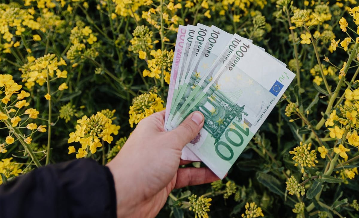 investimenti innovativi