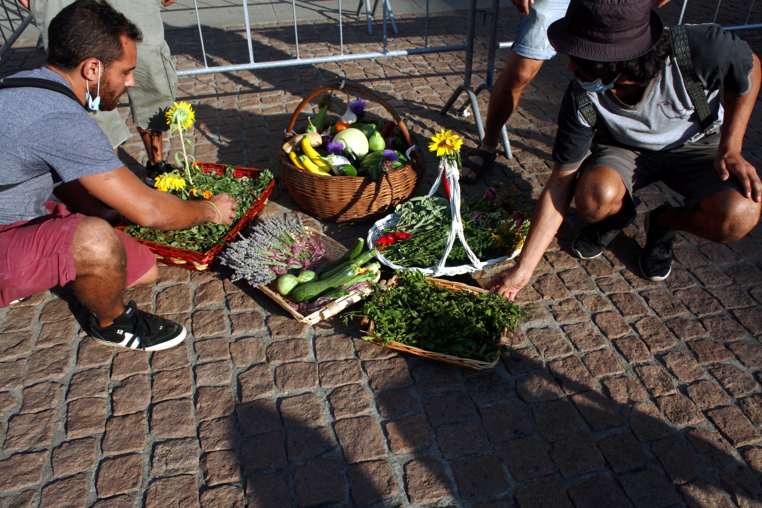 vendere, partita iva