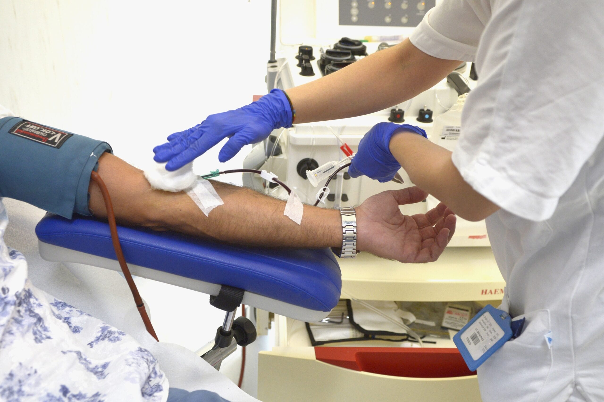 circolazione sanguigna