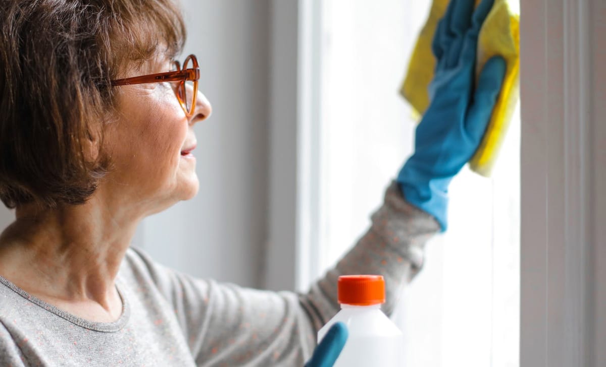 Lavoratori domestici