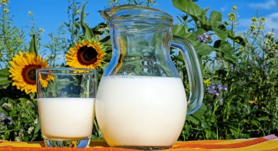 latte, piante