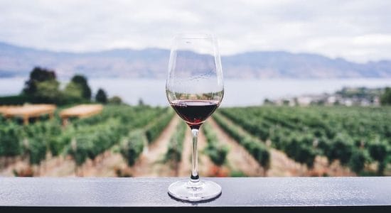 vino, uva, vendemmia, bicchiere, vinicolo, vite, rosso