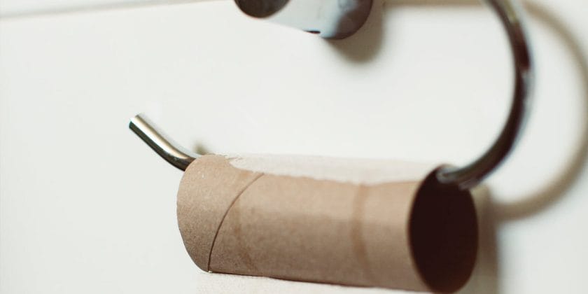 cartoncino carta igienica