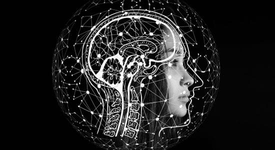 intelligenza