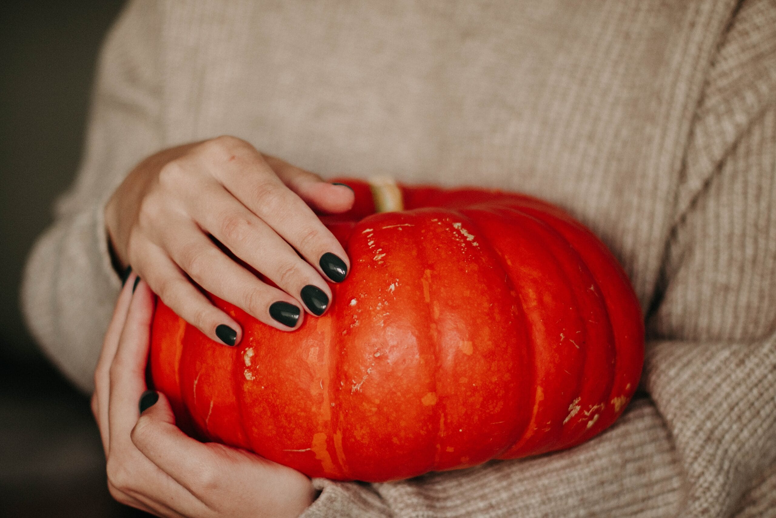 zucca