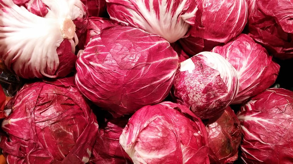 radicchio rosso