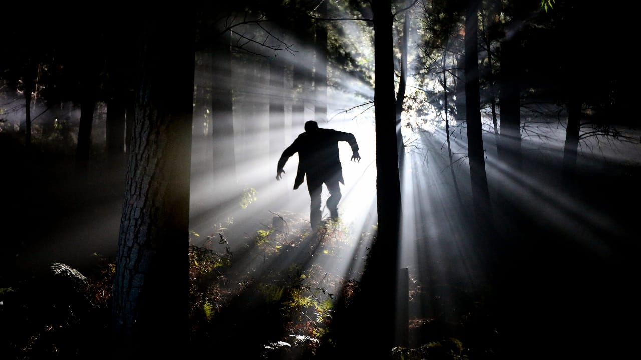 vampiri, incubi, paura