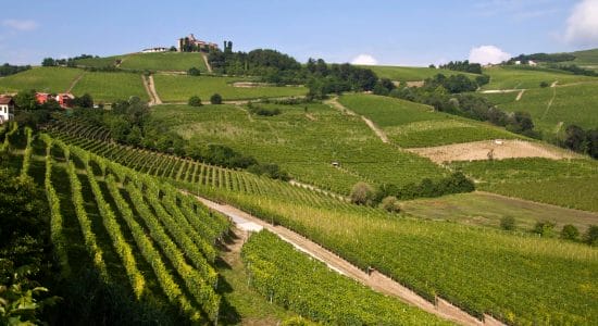 Langhe