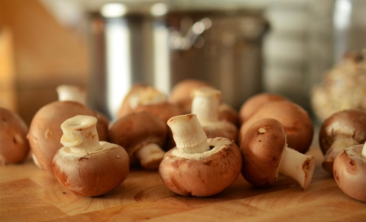 besciamella ai funghi