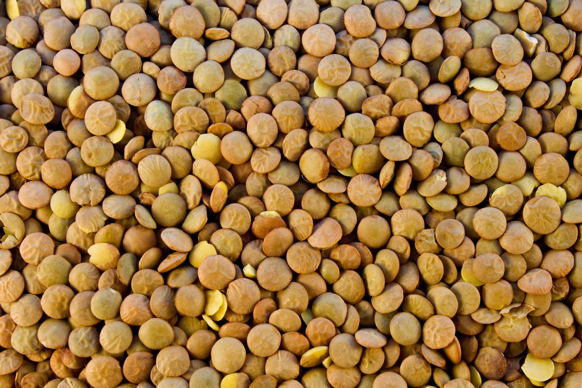 lenticchie
