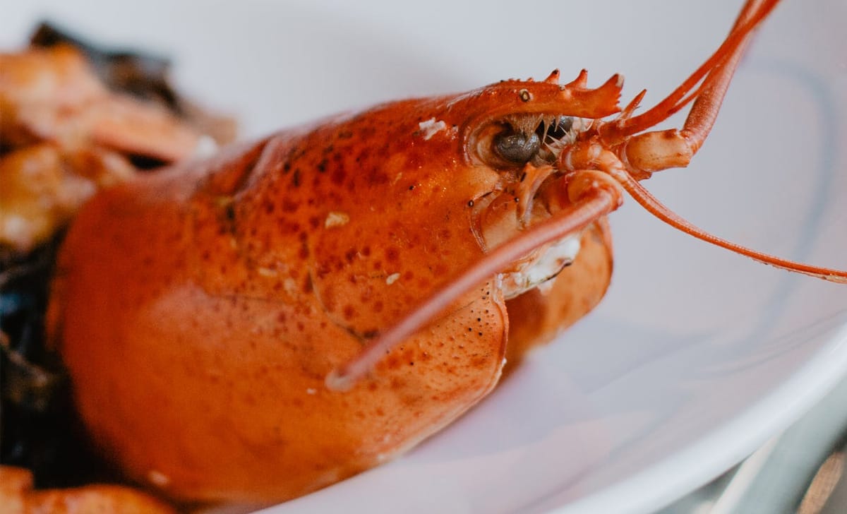 aragosta