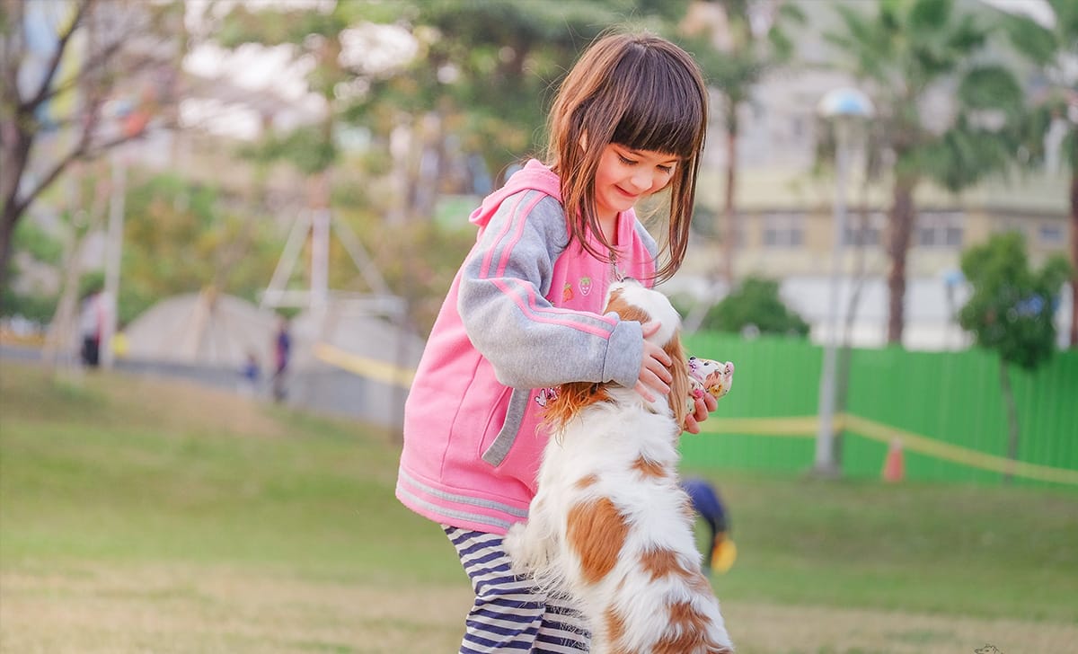 bambina insieme al suo cane