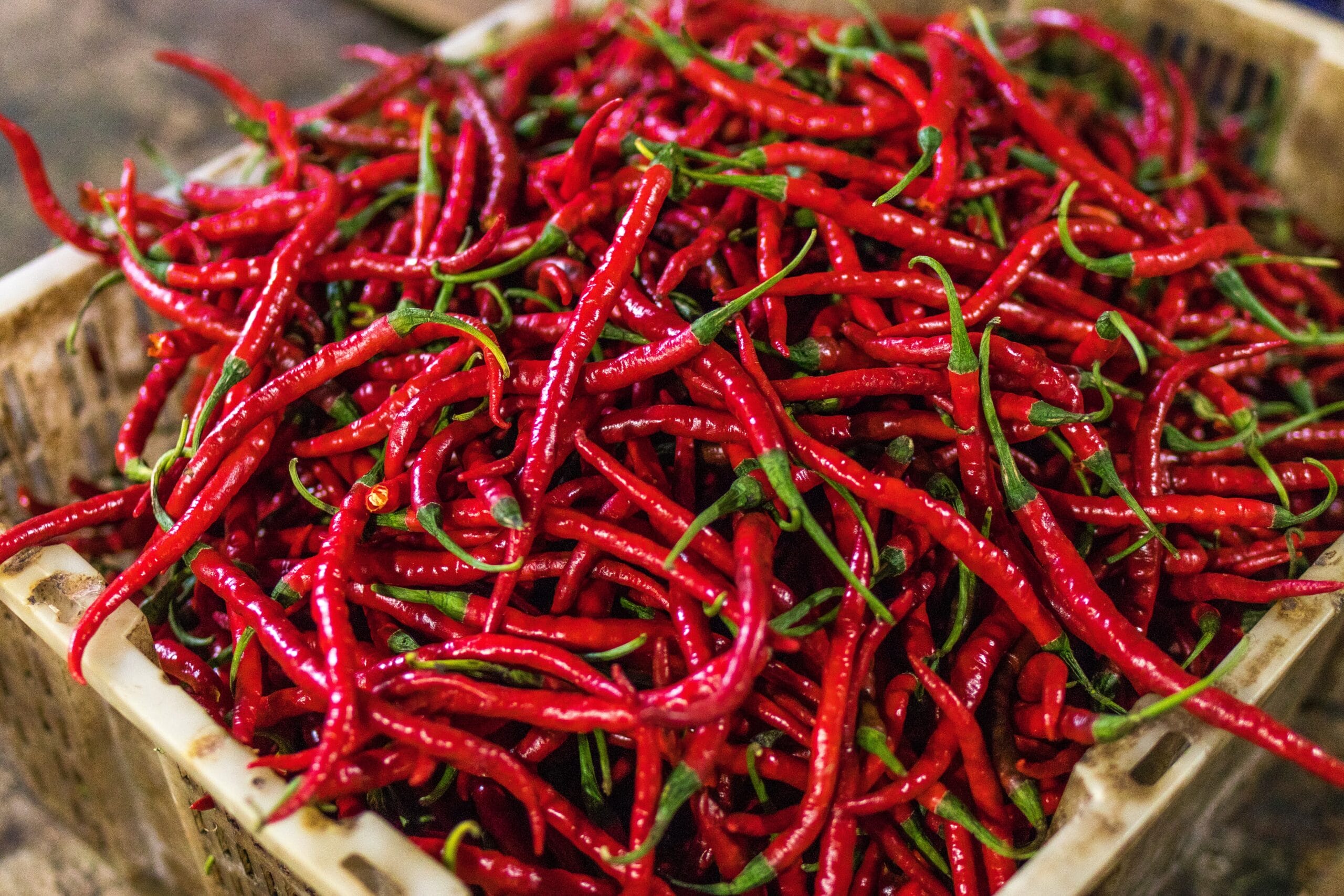 peperoncino