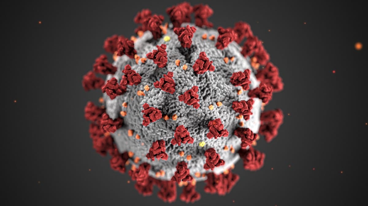virus
