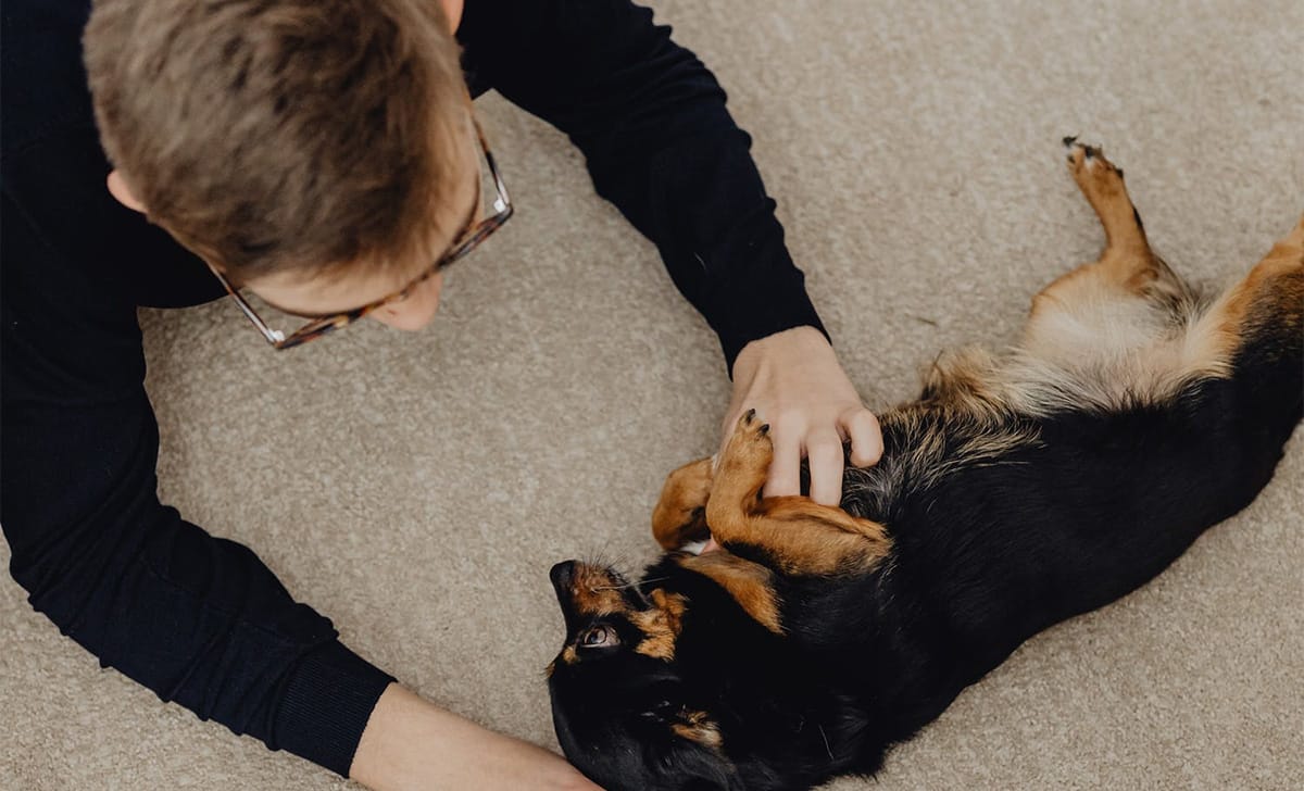 animale domestico e padroncino