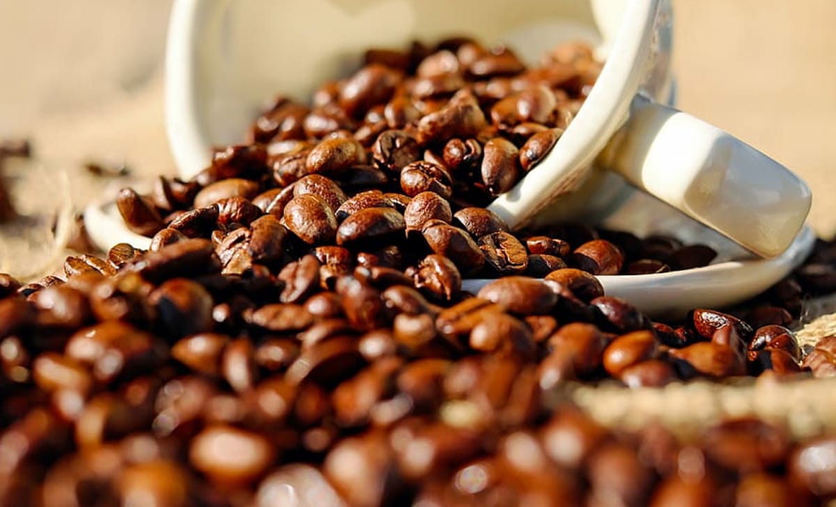 Come scegliere il caffè per un regalo di Natale indimenticabile