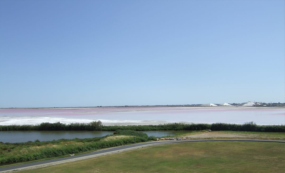 Le saline di Aigues Mortes