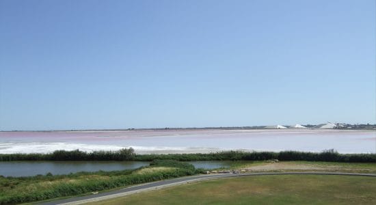 Le saline di Aigues Mortes