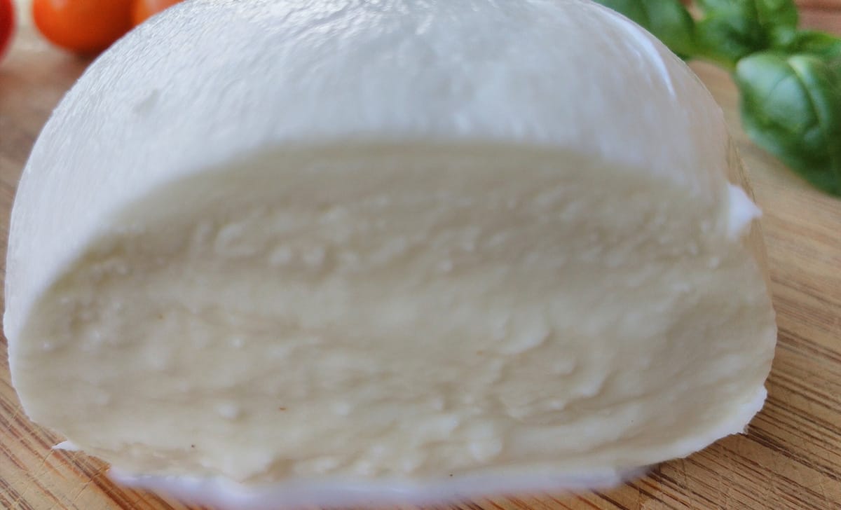 mozzarella
