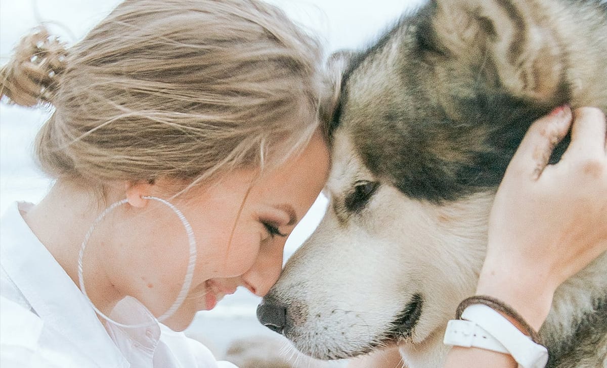 un cane e la sua proprietaria