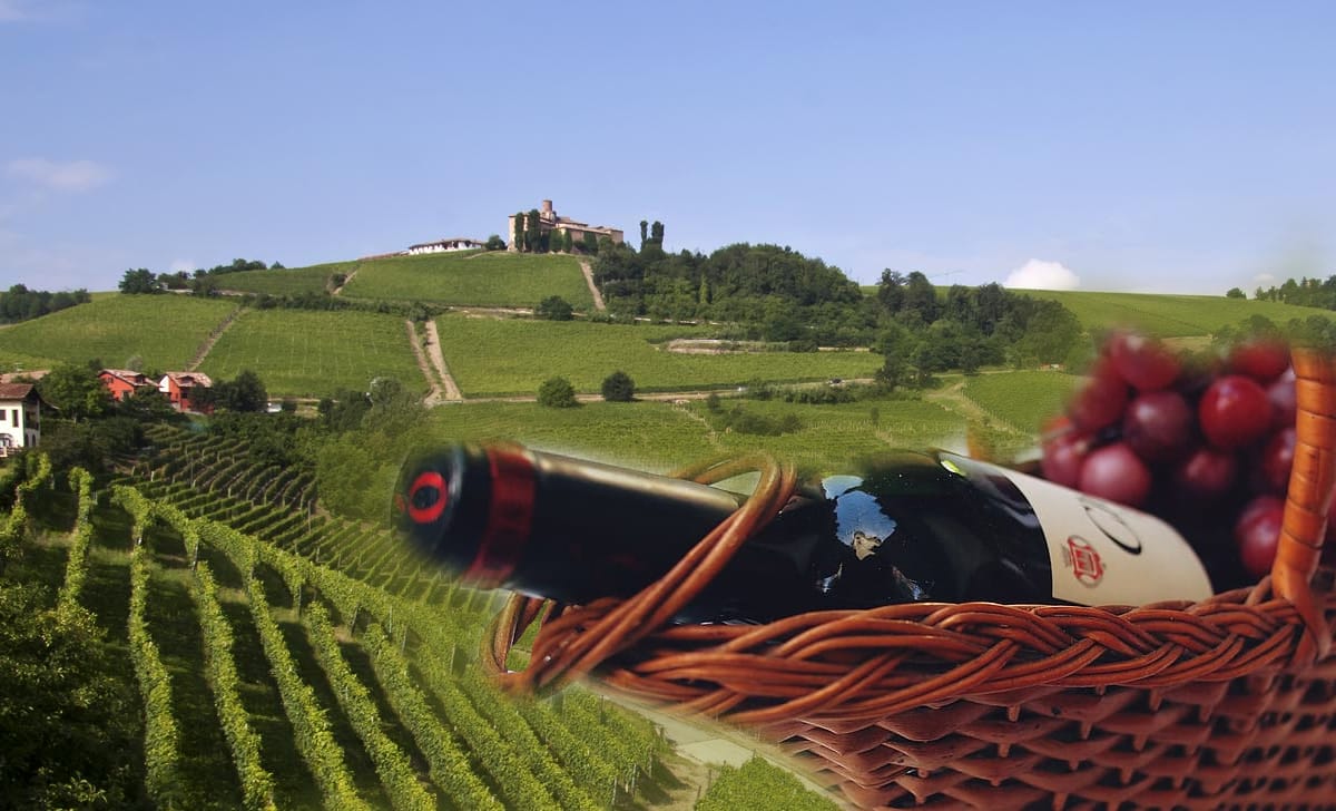 vino delle Langhe di Alba