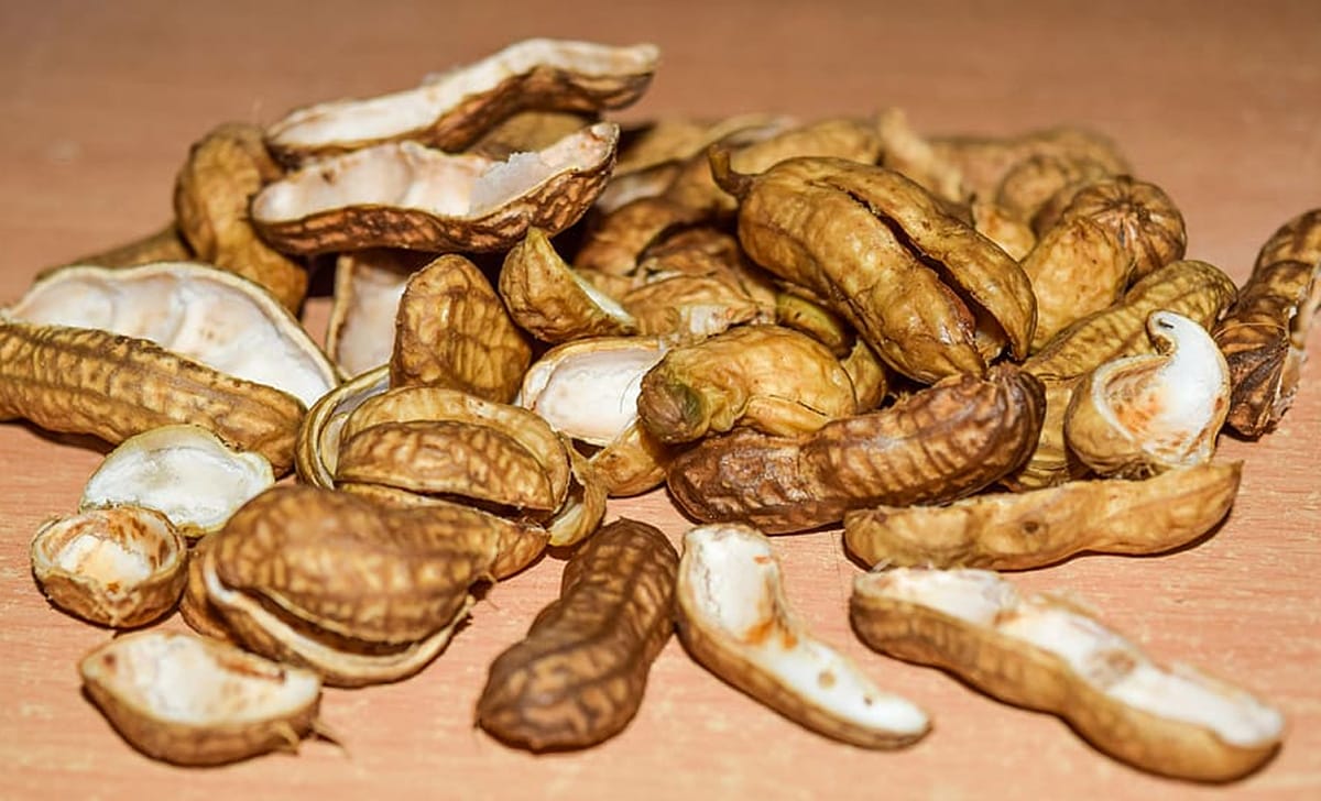 gusci delle arachidi