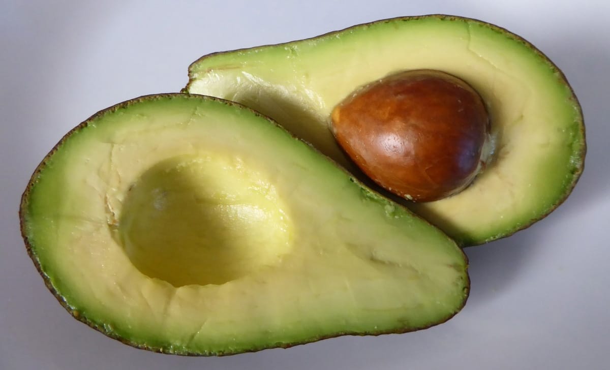 avocado
