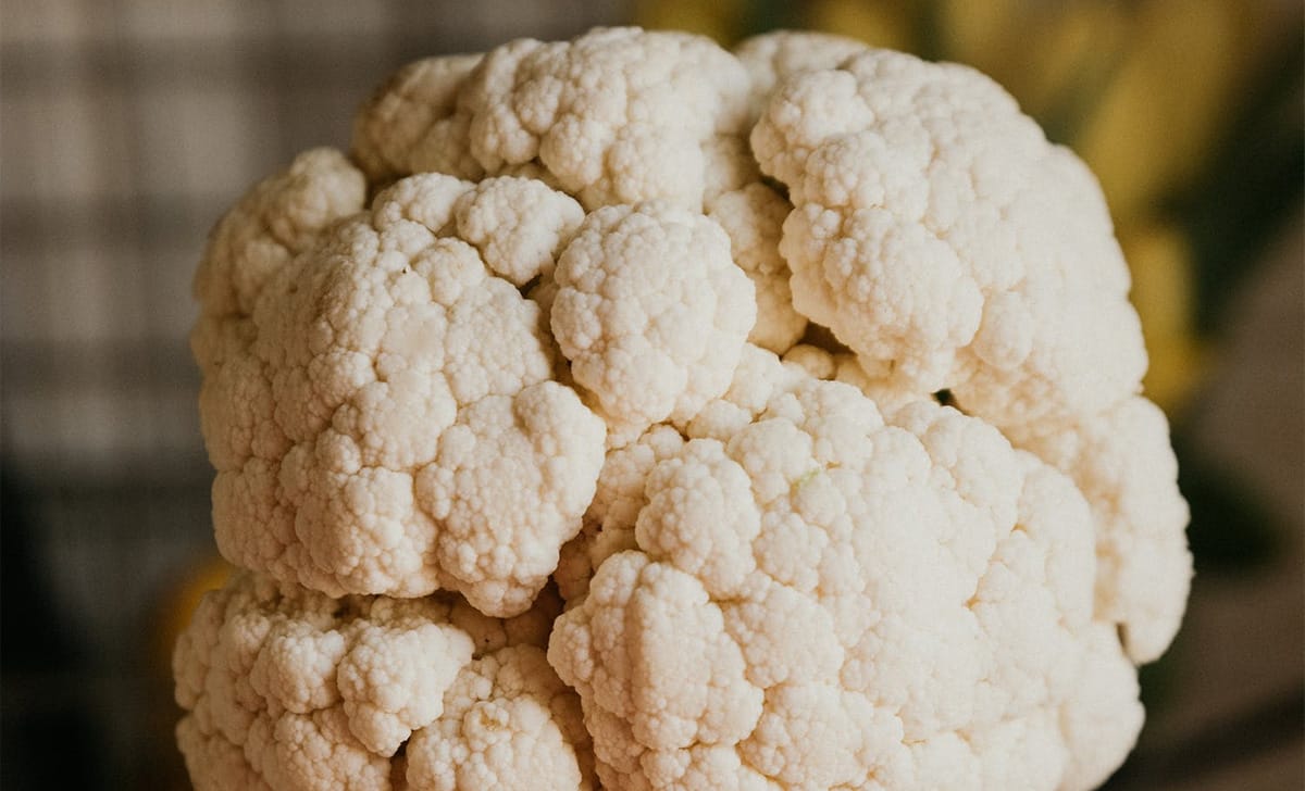 cavolfiore