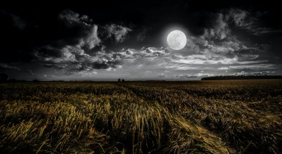 luna, agricoltura