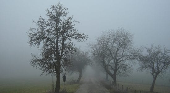 nebbia