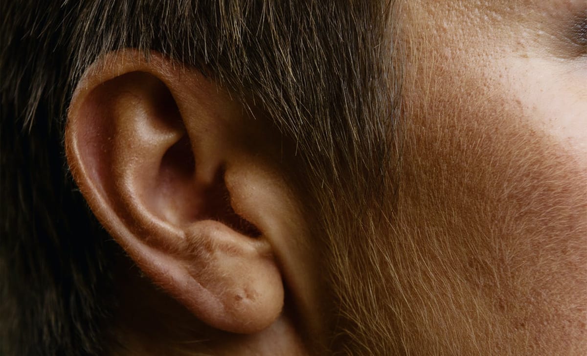 orecchio