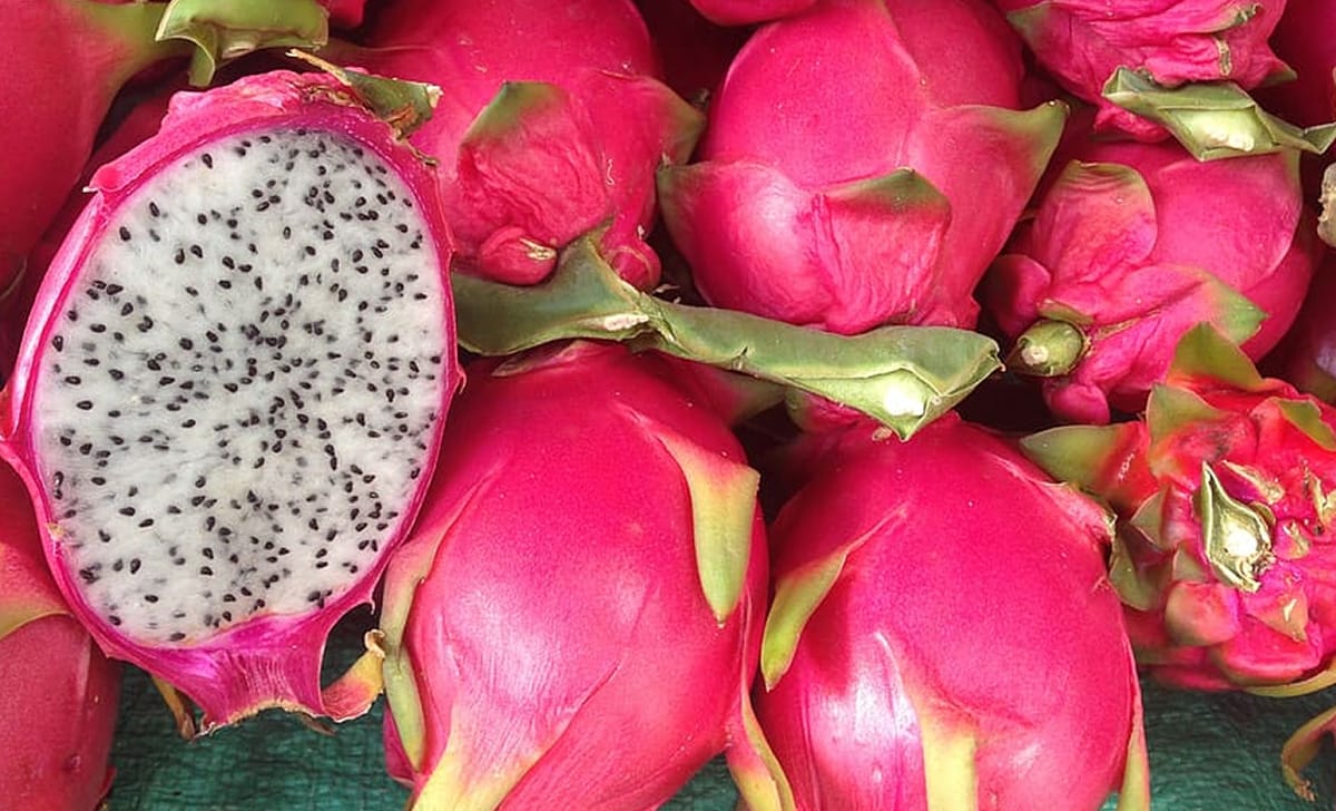 pitaya