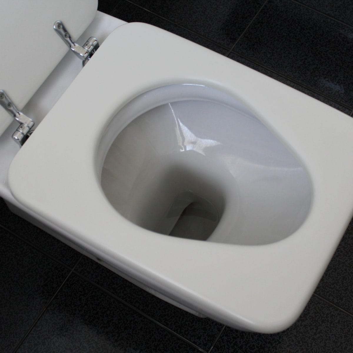 Provare le straordinarie pastiglie igienizzanti per il wc fai da te a pochi  euro