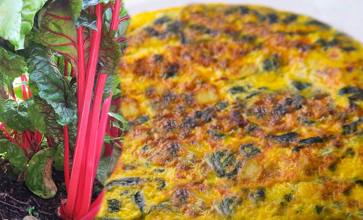 frittata