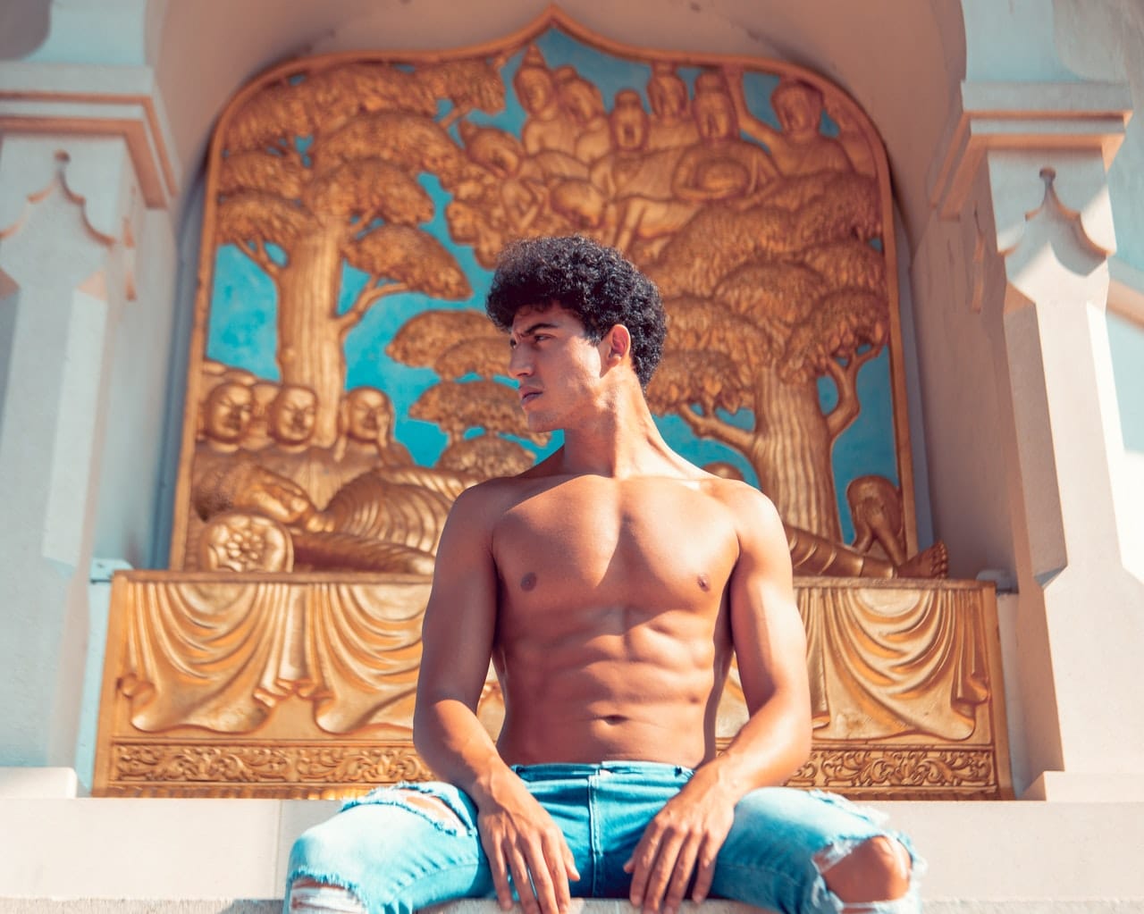 tartaruga addominale