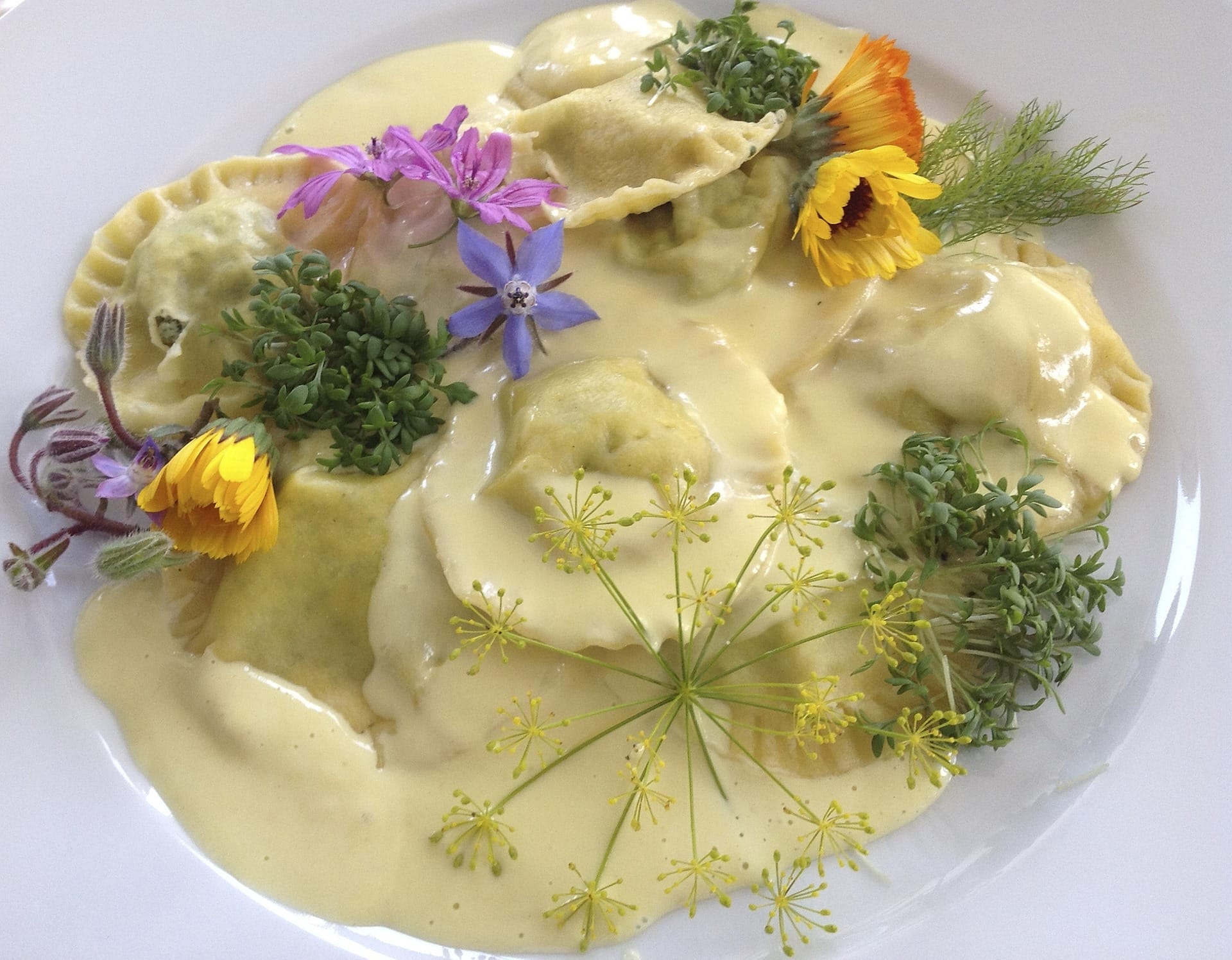 tortelli