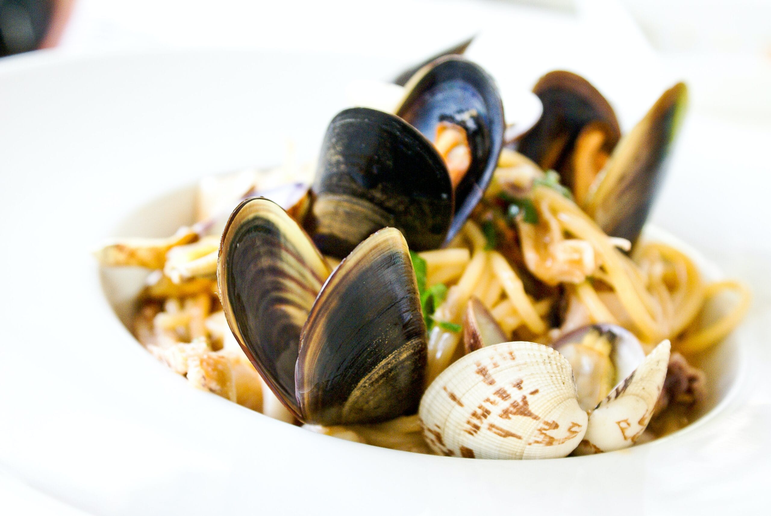 vongole